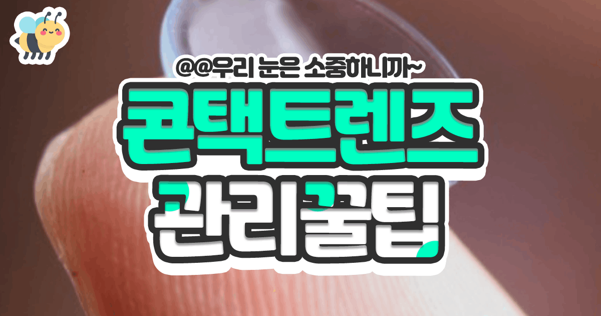 콘택트렌즈 관리꿀팁