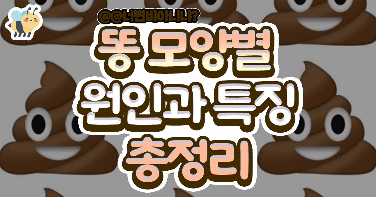 똥 모양별 원인과 특징 총정리