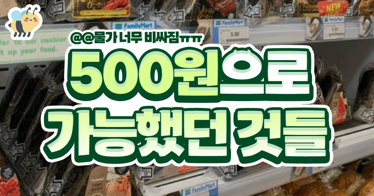 500원으로 가능햇던 것들