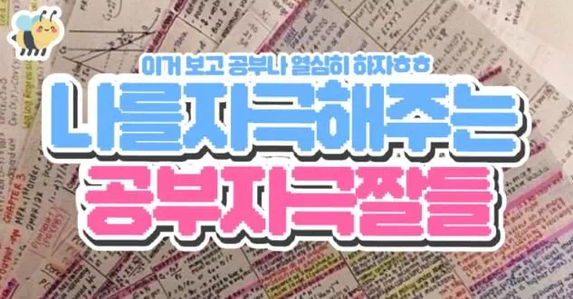 나를자극해주는 공부자극짤들