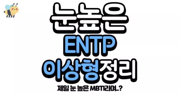 눈높은 ENTP이상형정리