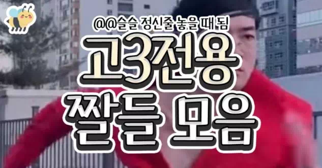 고3전용 짤들모음