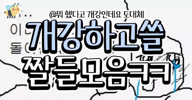 개강하고쓸 짤들모음