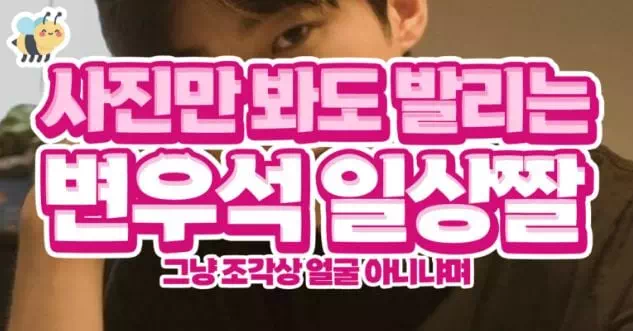 사진만 봐도 발리는 변우석 일살짤