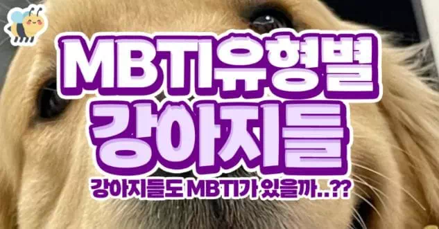 MBTI유형별강아지들