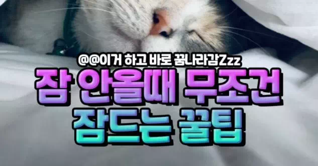 잠 안올때 무조건 잠드는 꿀팁