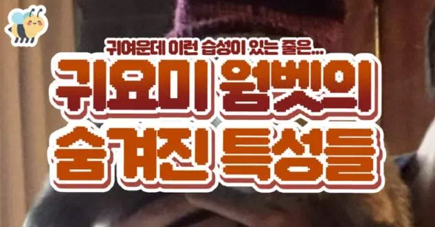 귀요미 웜벳의 숨겨진 특성들