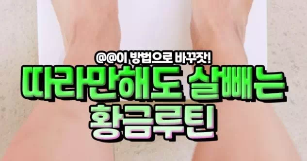 따라만해도 살빼는 황금루틴