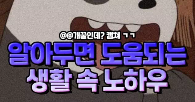 알아두면 도움되는 생활속노하우