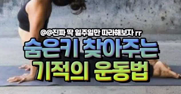 숨은키 찾아주는 기적의 운동법