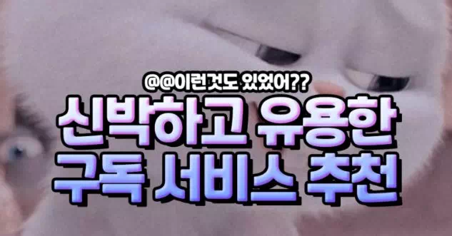 신박하고 유용한 구독 서비스 추천