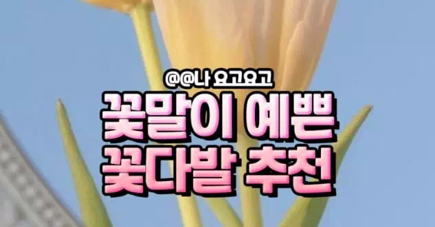 꽃말이 예쁜 꽃다발 추천