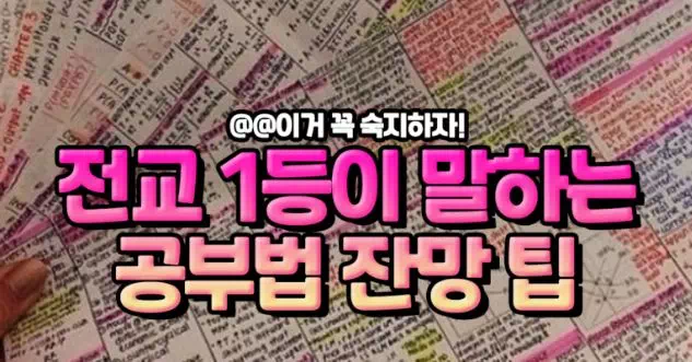 전교 1등이 말하는 공부법 잔망 팁
