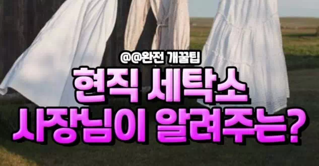 현직 세탁소 사장님이 알려주는