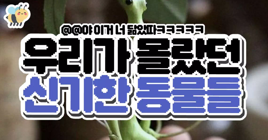 우리가 몰랐던 신기한 동물들