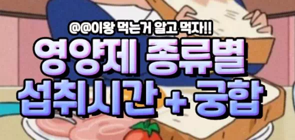 영양제 종류별 섭취시간