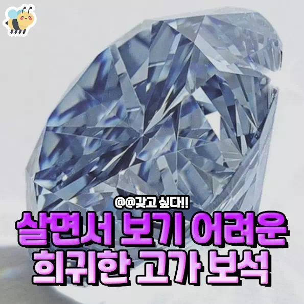 살면서 보기 어려운 희귀한 고가 보석