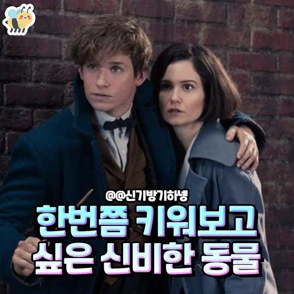 한번쯤 키워보고 싶은 신비한 동물 모음