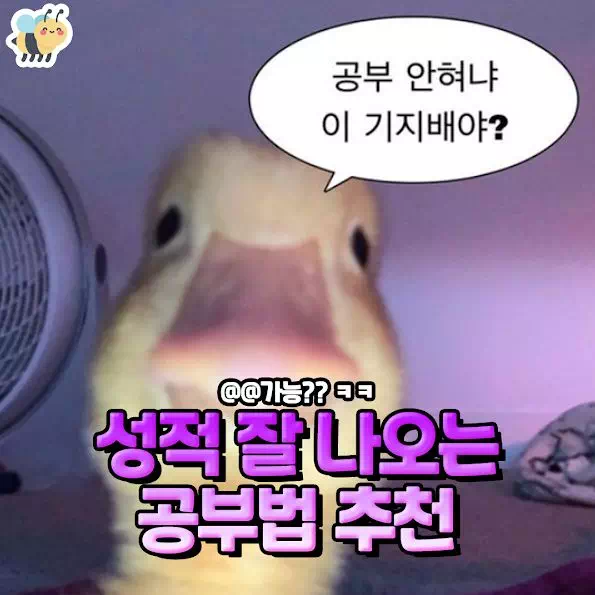 성적 잘 나오는 공부법 추천