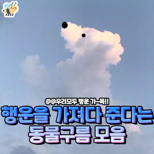 행운을 가져다 준다는 동물구름 모음