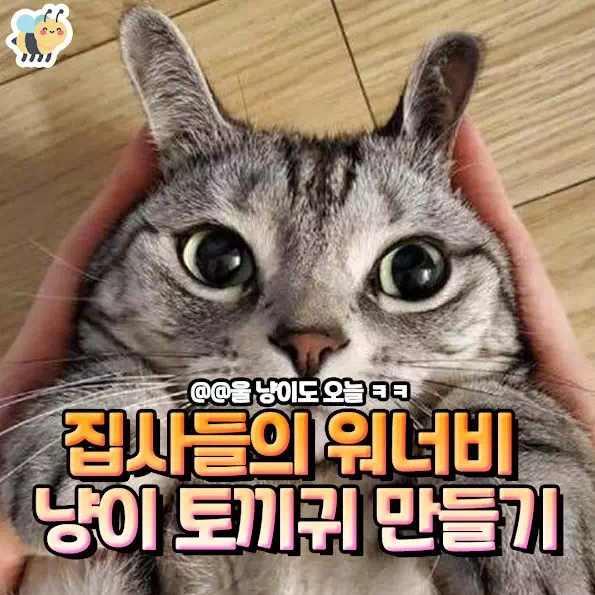집사들이라면 한뻔씩 해보고 싶게 만드는 토끼귀 만들기