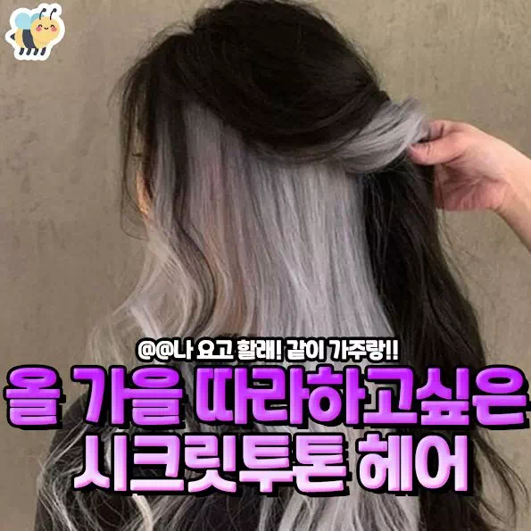 올 가을 따라하고싶은 시크릿투톤 헤어스타일