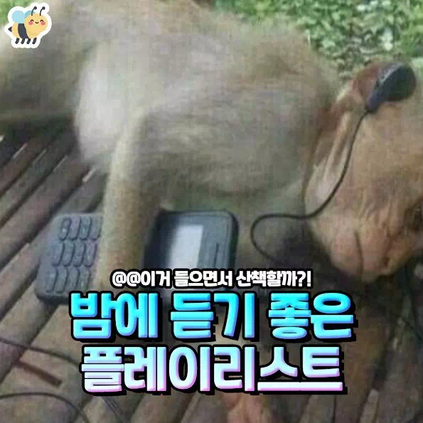 밤에 듣기 좋은 플레이리스트