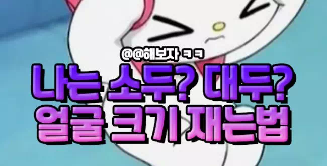 나는 소두일까 대두일까 얼굴 크기 재는법