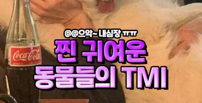 찐 귀여운 동물들의 TMI