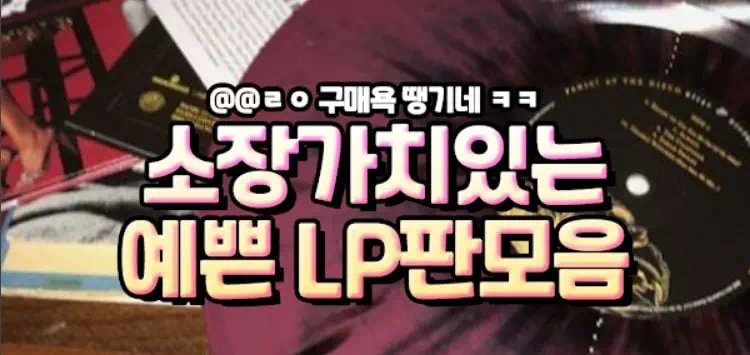 소장가치있는 예쁜 LP판모음