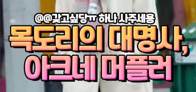 목도리의 대명사가 된 아크네스튜디오 머플러 추천