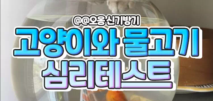 고양이와 물고기로 보는 나의 인간관계 심리테스트