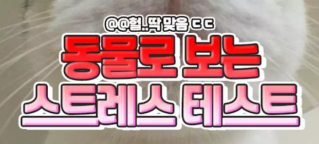 동물로 보는 스트레스 심리테스트