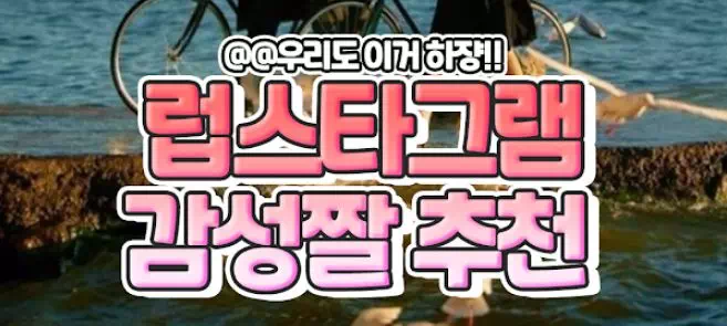 럽스타그램 감성짤 추천