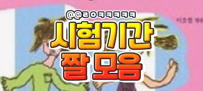 시험기간 짤 모음