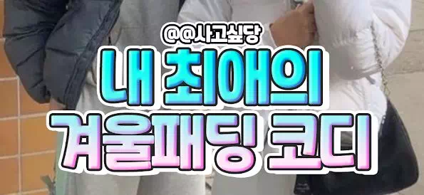 내 최애아이돌이 입은 겨울패딩 코디