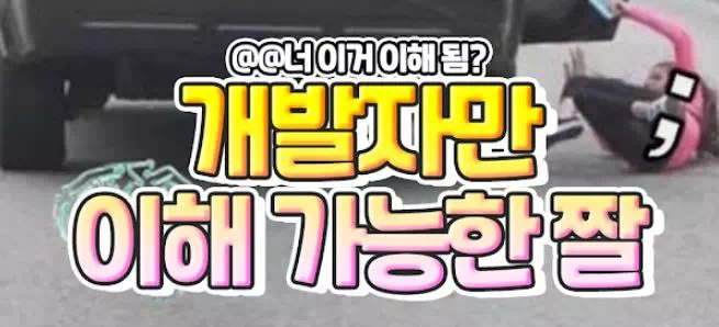 개발자만 이해 가능한 짤