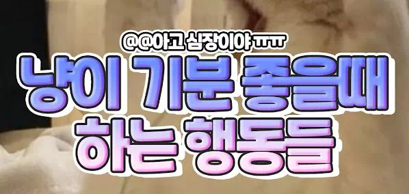 냥이가 기분 좋을때 하는 행동들