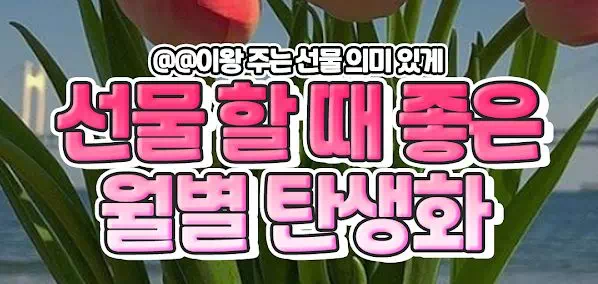 선물 할 때 좋은 월별 탄생화