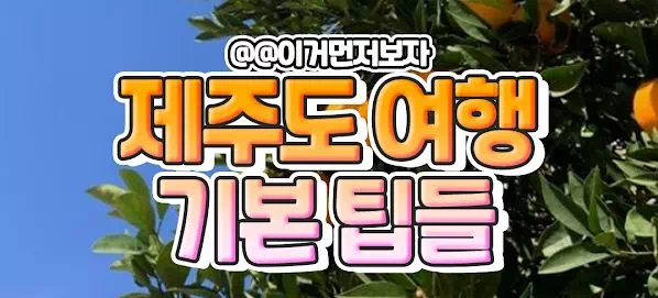 제주도여행 기본팁들