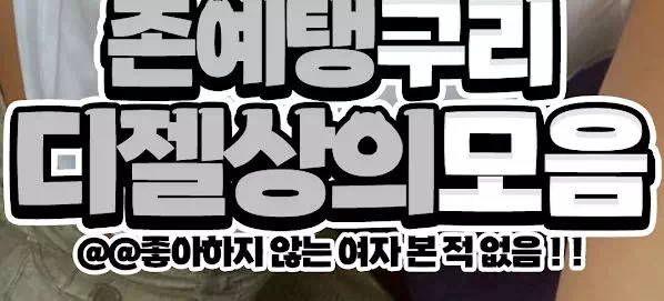 존예탱구리 디젤상의모음