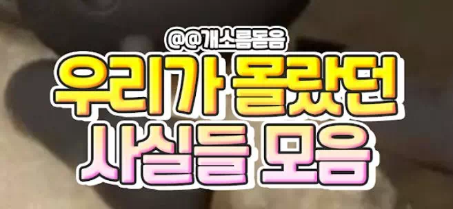 우리가 몰랐던 사실들 모음