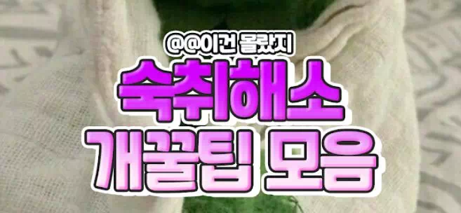 숙취해소 개꿀팁 모음