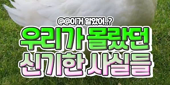 우리가 몰랐던 신기한 사실들