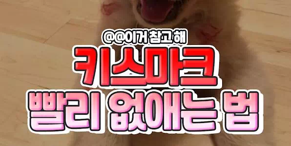 키스마크 빨리없애는 법