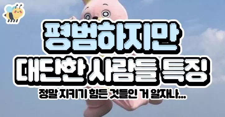 평범하지만 대단한 사람들 특징