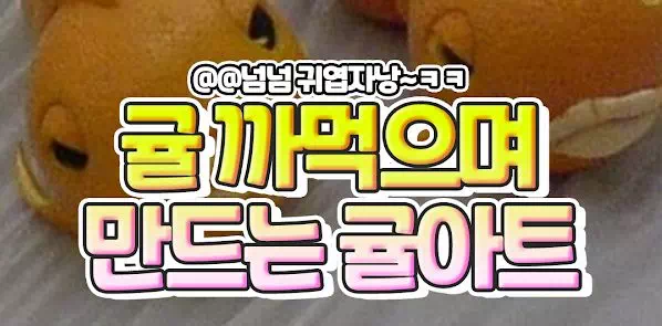 귤 까먹으며 만드는 귤아트