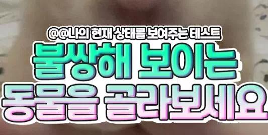 불쌍해 보이는 동물을 골라보세요