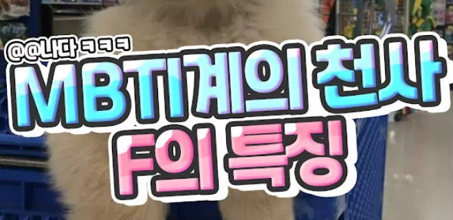 MBTI계의 천사 F의 특징