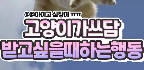 고양이가 쓰담 받고 싶을때 하는 행동 고양이가 쓰담 받고 싶을때 하는 행동